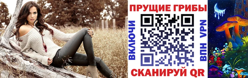 Галлюциногенные грибы мицелий  блэк спрут зеркало  Верхняя Пышма 