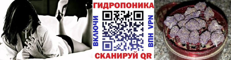 где купить   Верхняя Пышма  МАРИХУАНА Amnesia 